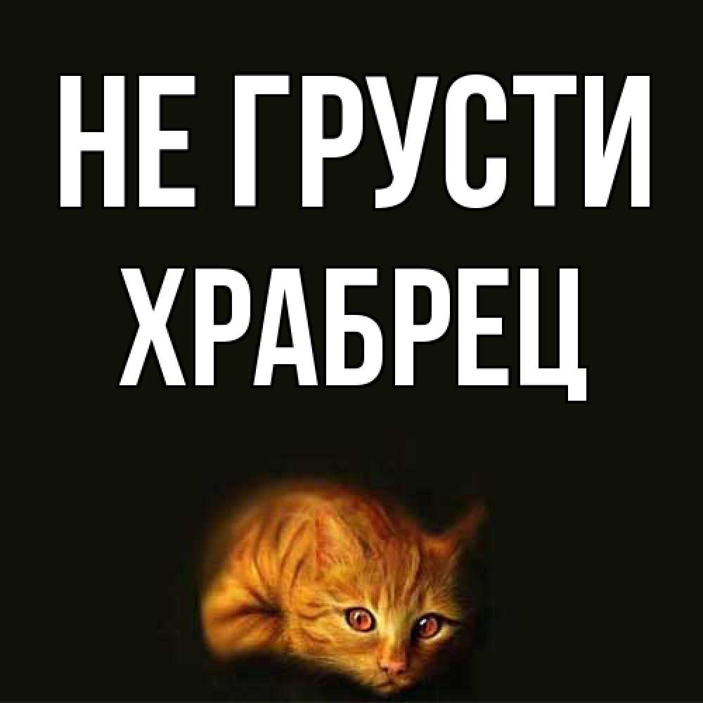 Открытка на каждый день с именем, Храбрец Не грусти лежащий кот в темноте Прикольная открытка с пожеланием онлайн скачать бесплатно 