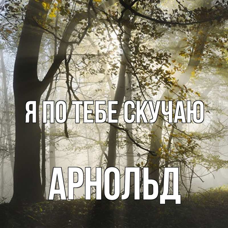 Картинка Я по тебе скучаю, Арнольд