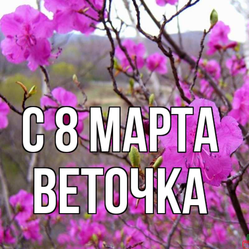 Картинка C 8 МАРТА, Веточка