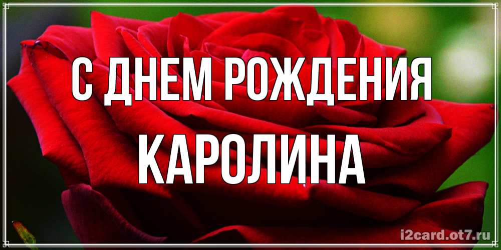 Открытка на каждый день с именем, Каролина С днем рождения розочка очень красивая Прикольная открытка с пожеланием онлайн скачать бесплатно 
