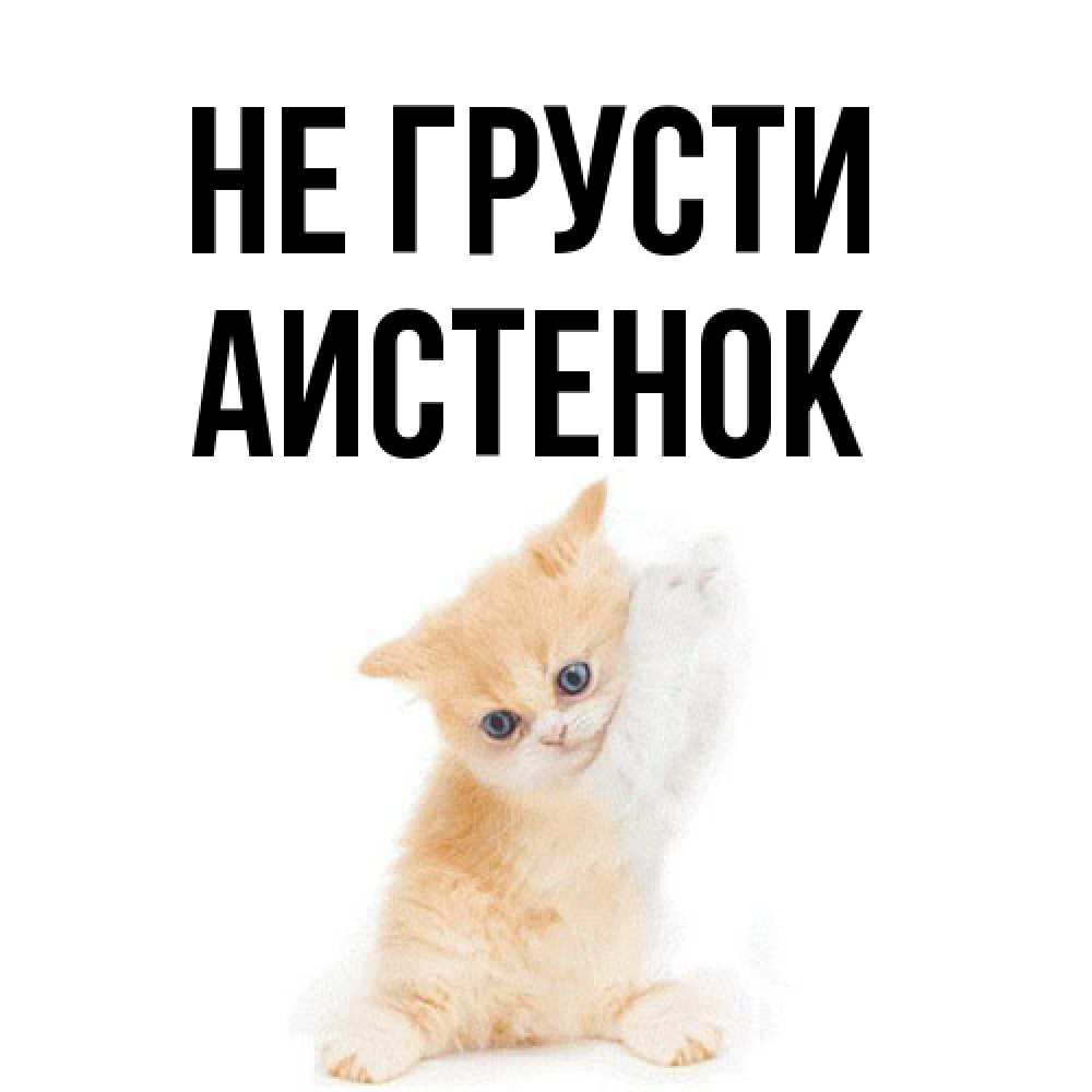 Открытка на каждый день с именем, аистенок Не грусти просящий кот Прикольная открытка с пожеланием онлайн скачать бесплатно 