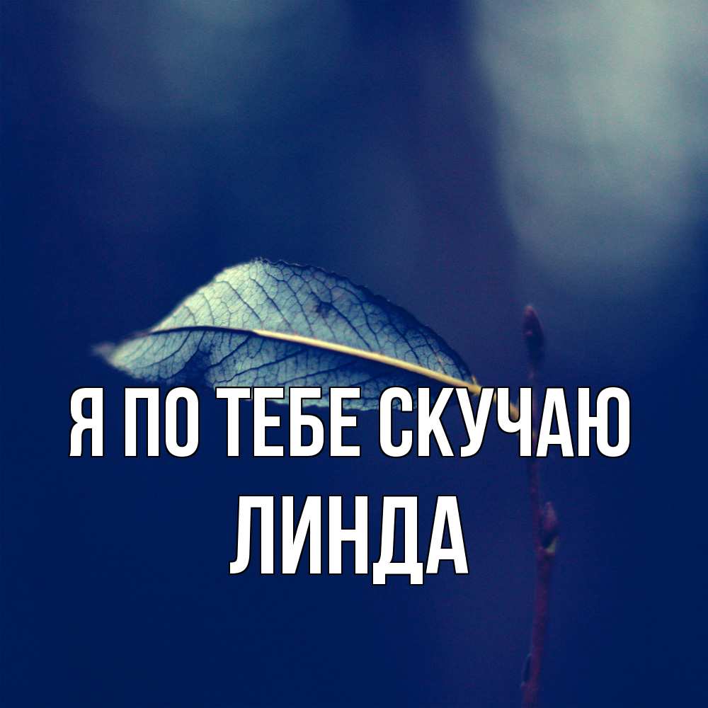 Открытка на каждый день с именем, Линда Я по тебе скучаю одна ветка 1 Прикольная открытка с пожеланием онлайн скачать бесплатно 