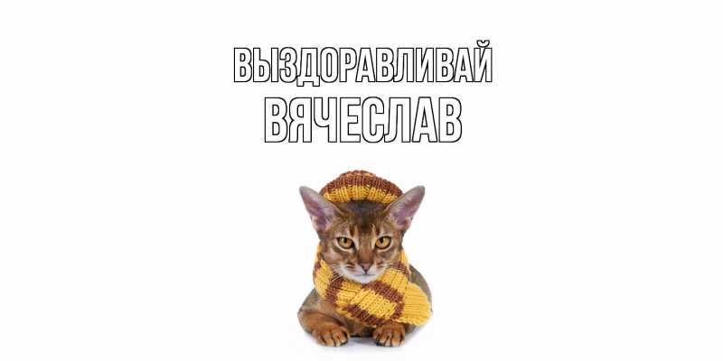 Картинка Выздоравливай, Вячеслав