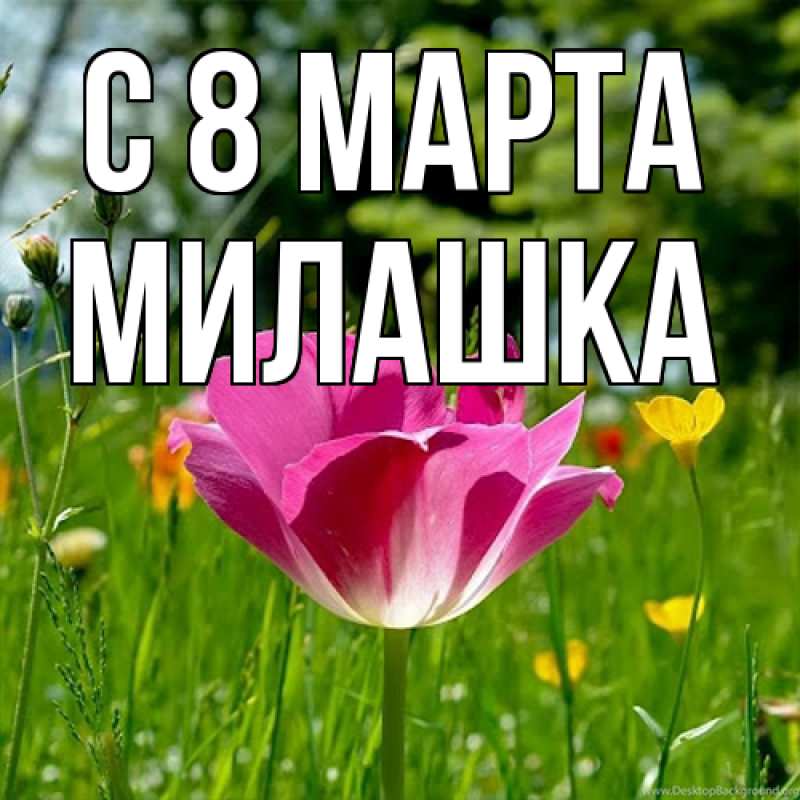 Картинка C 8 МАРТА, Милашка