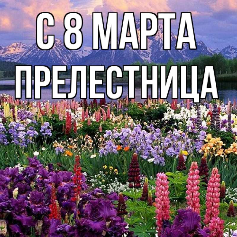 Картинка C 8 МАРТА, Прелестница