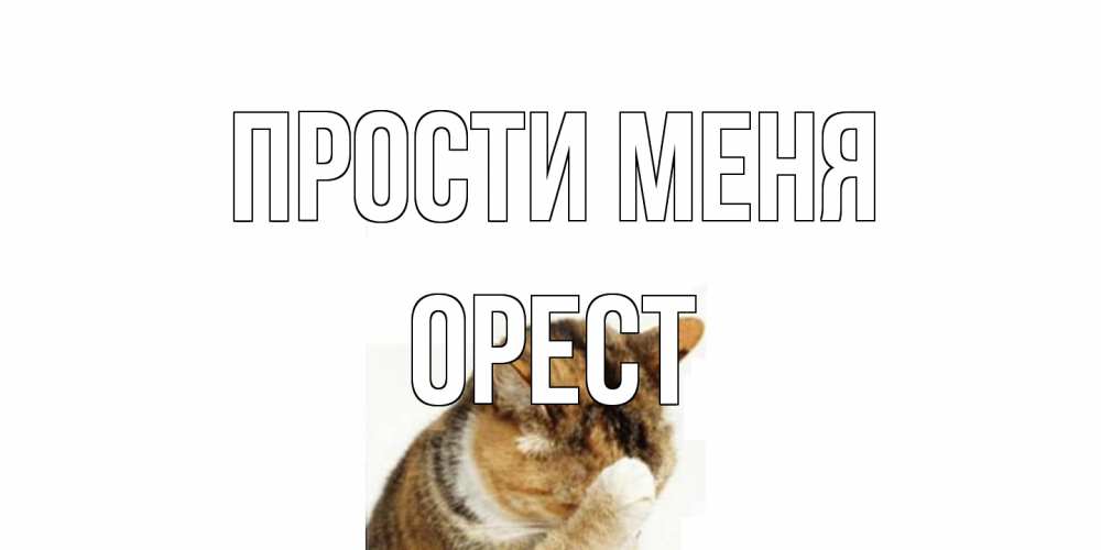 Открытка на каждый день с именем, Орест Прости меня кот Прикольная открытка с пожеланием онлайн скачать бесплатно 