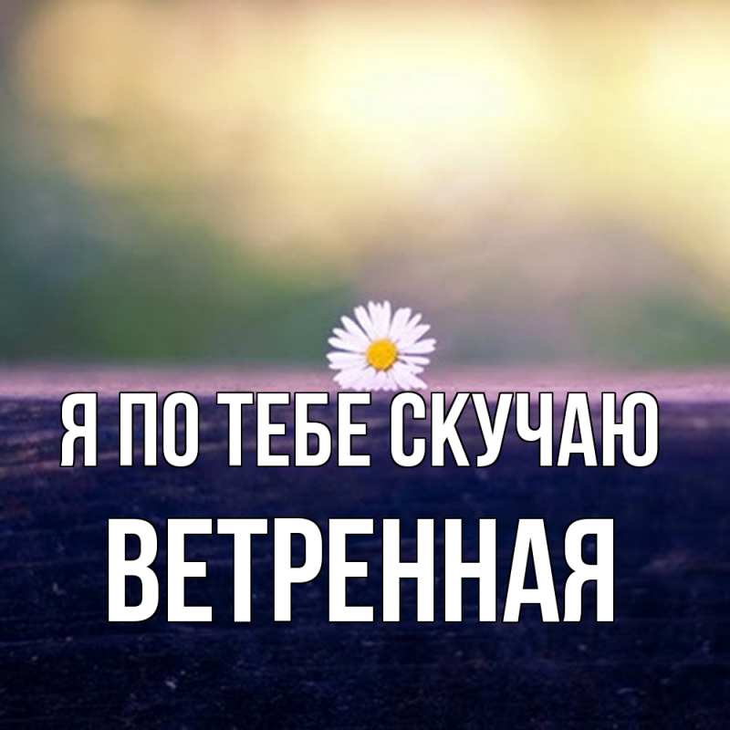 Картинка Я по тебе скучаю, Ветренная