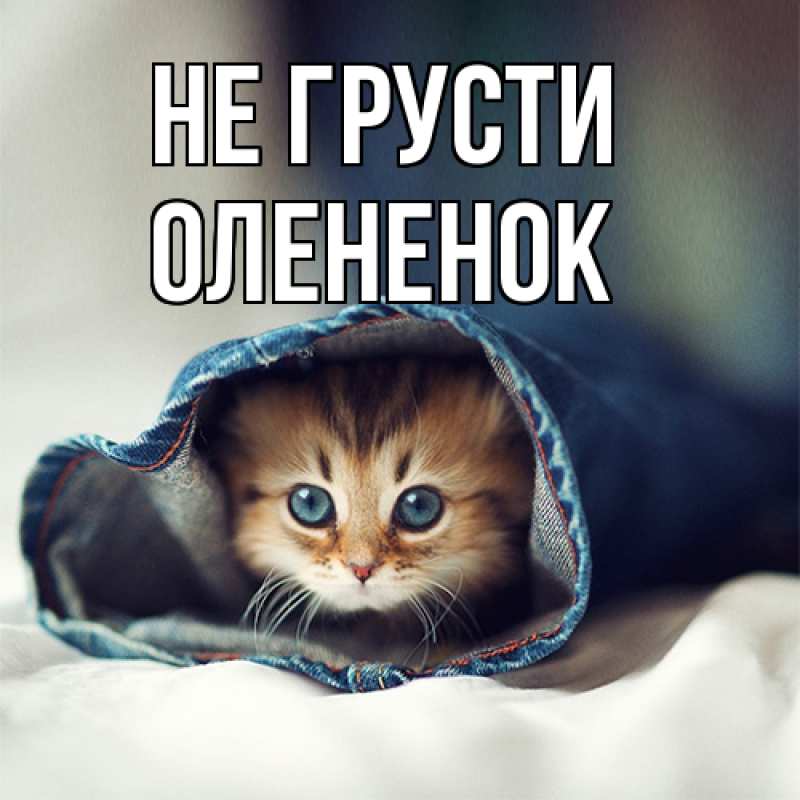 Картинка Не грусти, Олененок