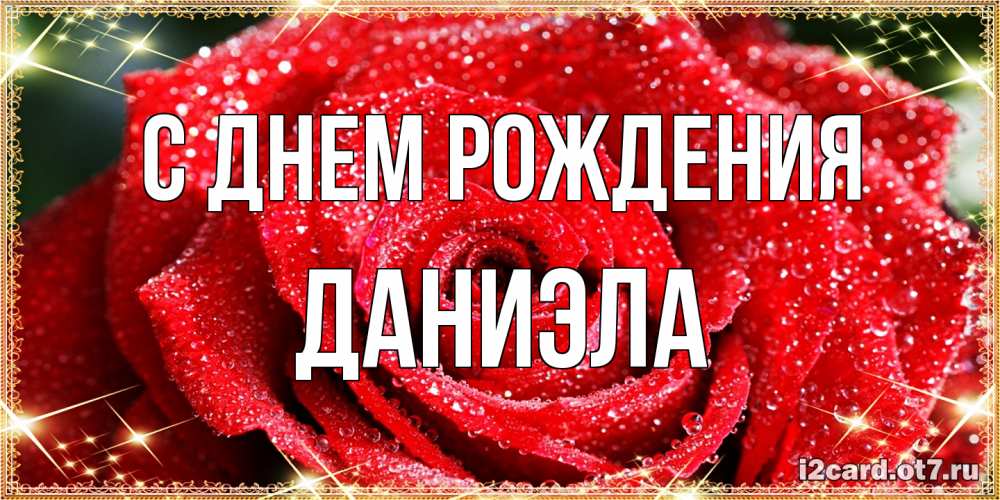 Открытка на каждый день с именем, Даниэла С днем рождения роса и роза. открытка с красивой розой Прикольная открытка с пожеланием онлайн скачать бесплатно 