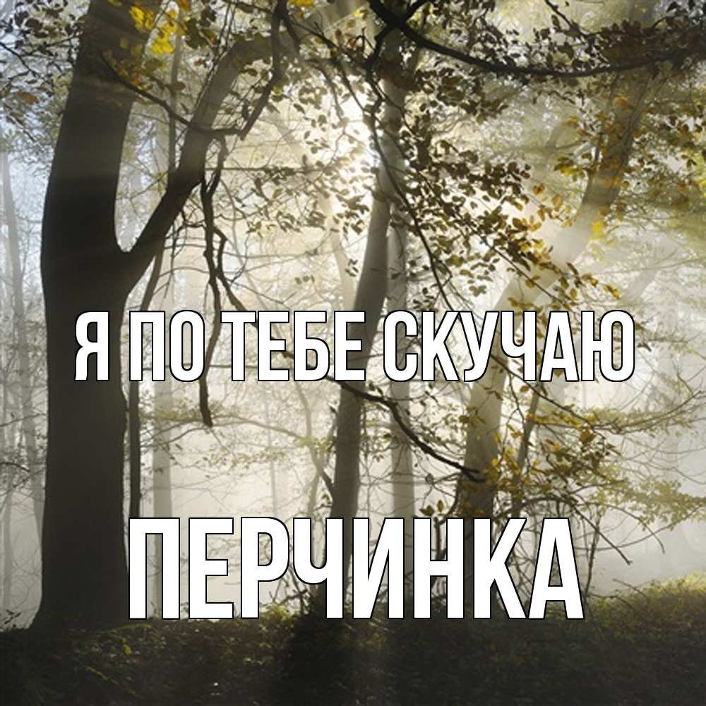 Открытка на каждый день с именем, Перчинка Я по тебе скучаю грустно Прикольная открытка с пожеланием онлайн скачать бесплатно 