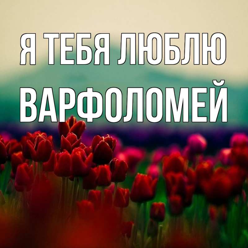 Картинка Я тебя люблю, Варфоломей