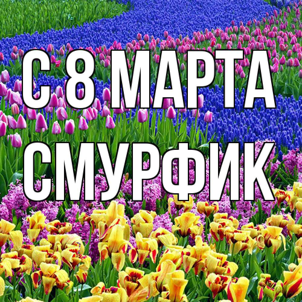 Открытка на каждый день с именем, Смурфик C 8 МАРТА цветы Прикольная открытка с пожеланием онлайн скачать бесплатно 