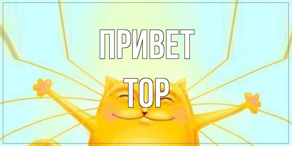 Открытка на каждый день с именем, Тор Привет кот Прикольная открытка с пожеланием онлайн скачать бесплатно 