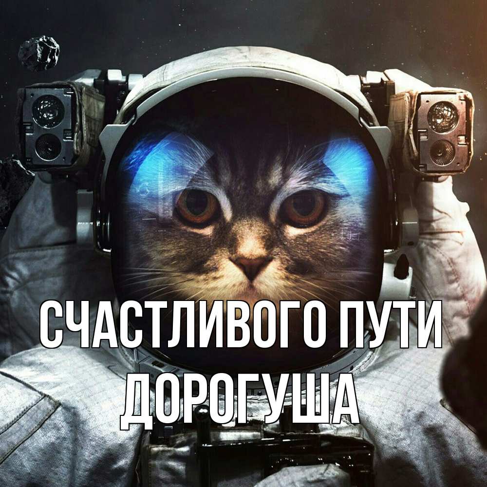 Открытка на каждый день с именем, дорогуша Счастливого пути желает удачно добраться Прикольная открытка с пожеланием онлайн скачать бесплатно 
