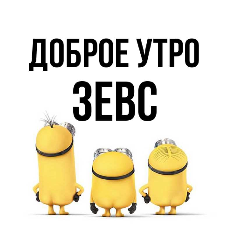 Картинка Доброе утро, Зевс