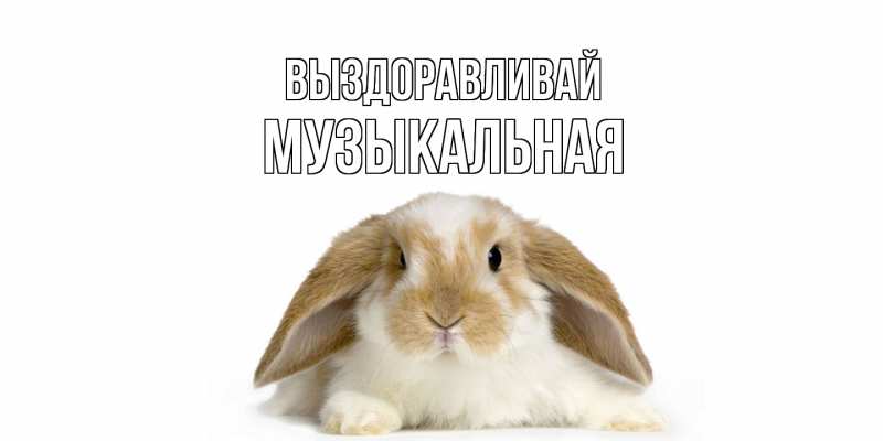 Картинка Выздоравливай, Музыкальная