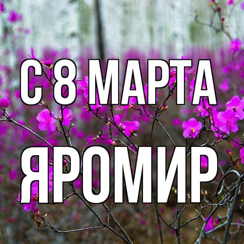 Картинка C 8 МАРТА, Яромир