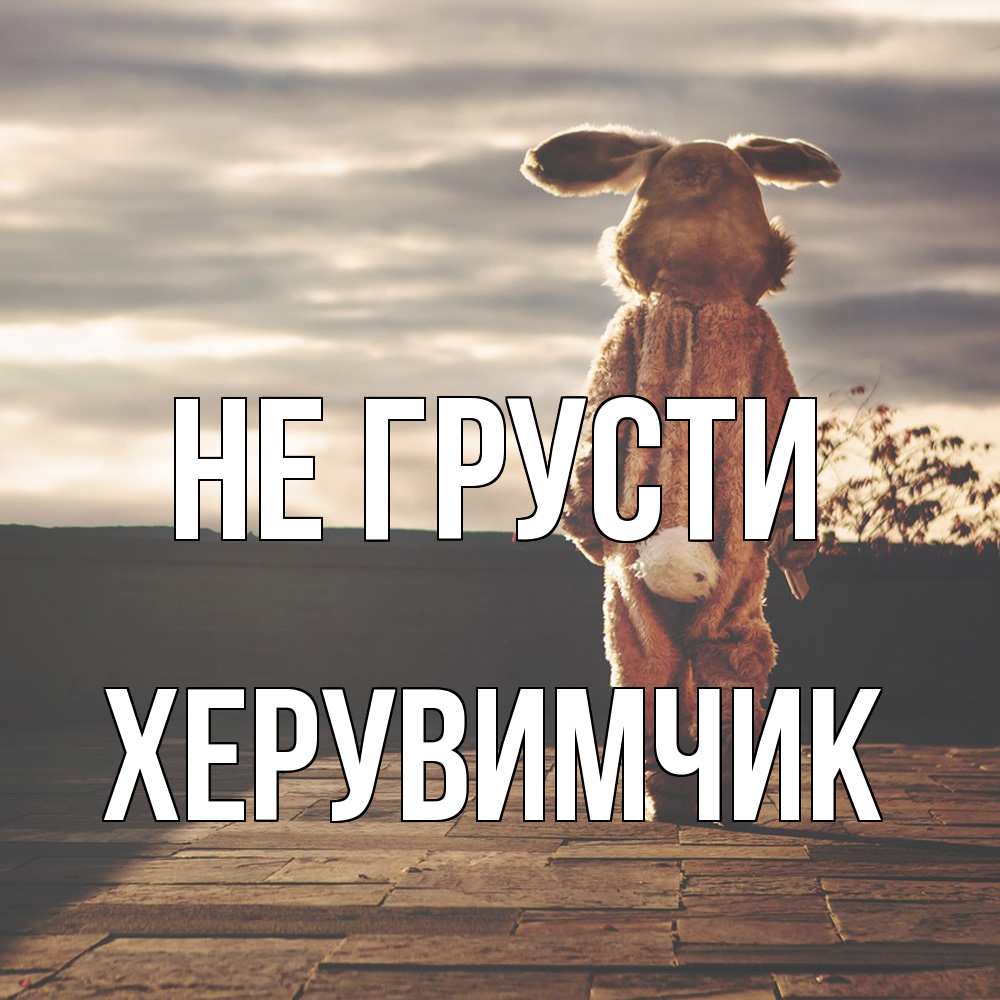 Открытка на каждый день с именем, Хеpувимчик Не грусти со спины Прикольная открытка с пожеланием онлайн скачать бесплатно 