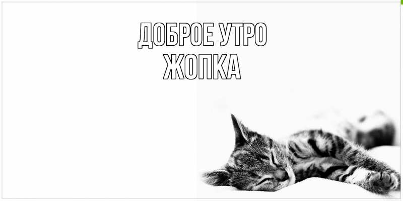 Картинка Доброе утро, Жопка