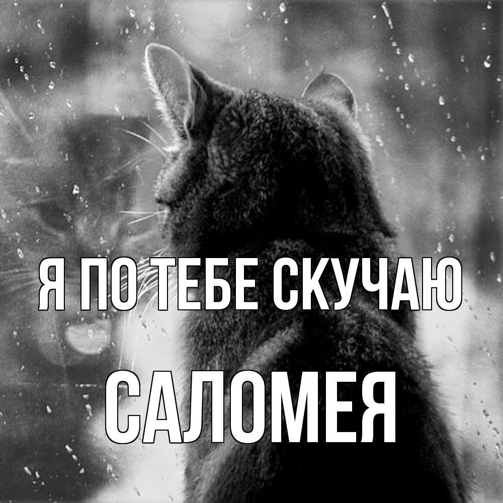 Открытка на каждый день с именем, Саломея Я по тебе скучаю скорее ко мне приходи 1 Прикольная открытка с пожеланием онлайн скачать бесплатно 