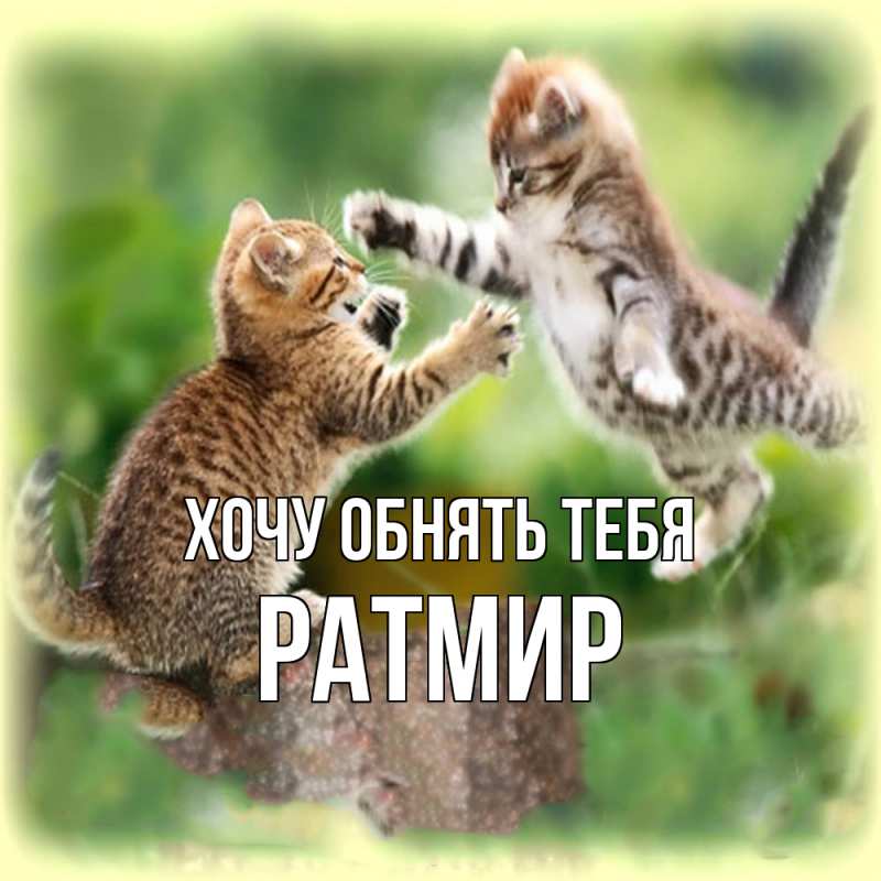 Картинка Хочу обнять тебя, Ратмир