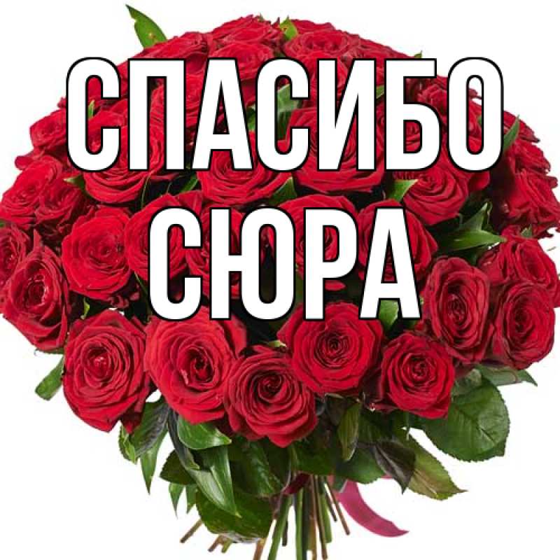 Картинка Спасибо, СЮРА