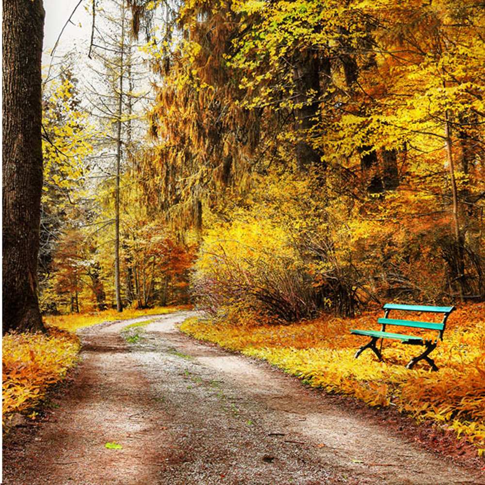 Открытка на каждый день с именем, Чудачка Не грусти зеленая лавочка Прикольная открытка с пожеланием онлайн скачать бесплатно 