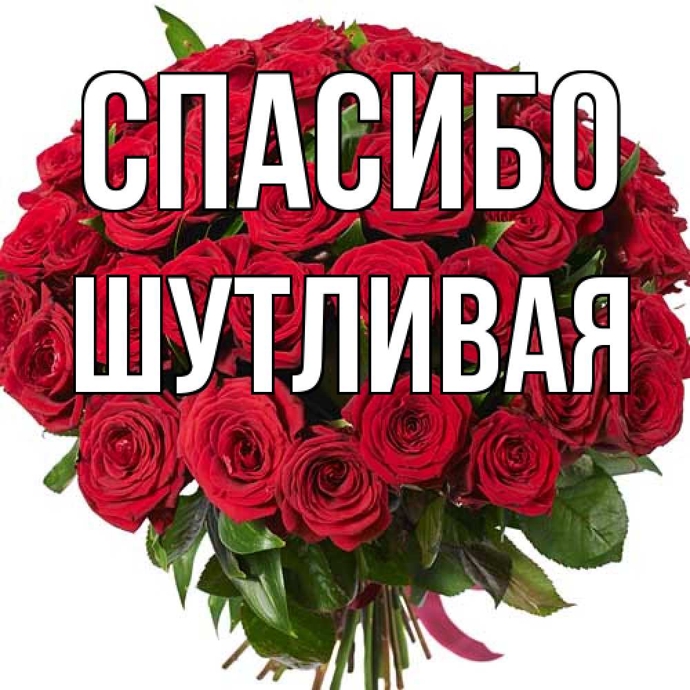 Открытка на каждый день с именем, Шутливая Спасибо букет красных роз Прикольная открытка с пожеланием онлайн скачать бесплатно 