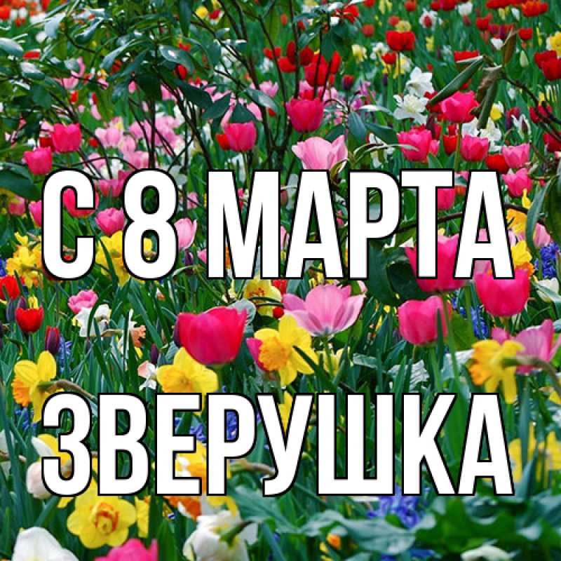 Картинка C 8 МАРТА, Зверушка