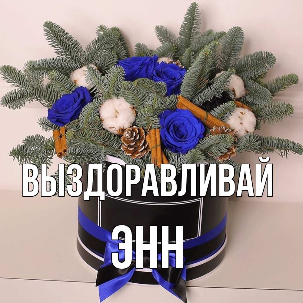 Открытка на каждый день с именем, Энн Выздоравливай короче кто то загрузил эти шишки Прикольная открытка с пожеланием онлайн скачать бесплатно 