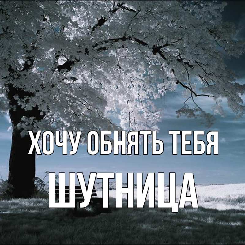Картинка Хочу обнять тебя, Шутница