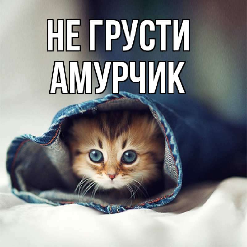 Картинка Не грусти, амурчик