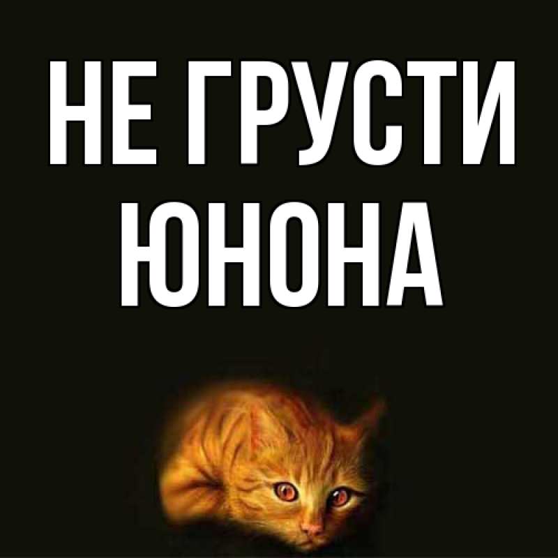Картинка Не грусти, Юнона