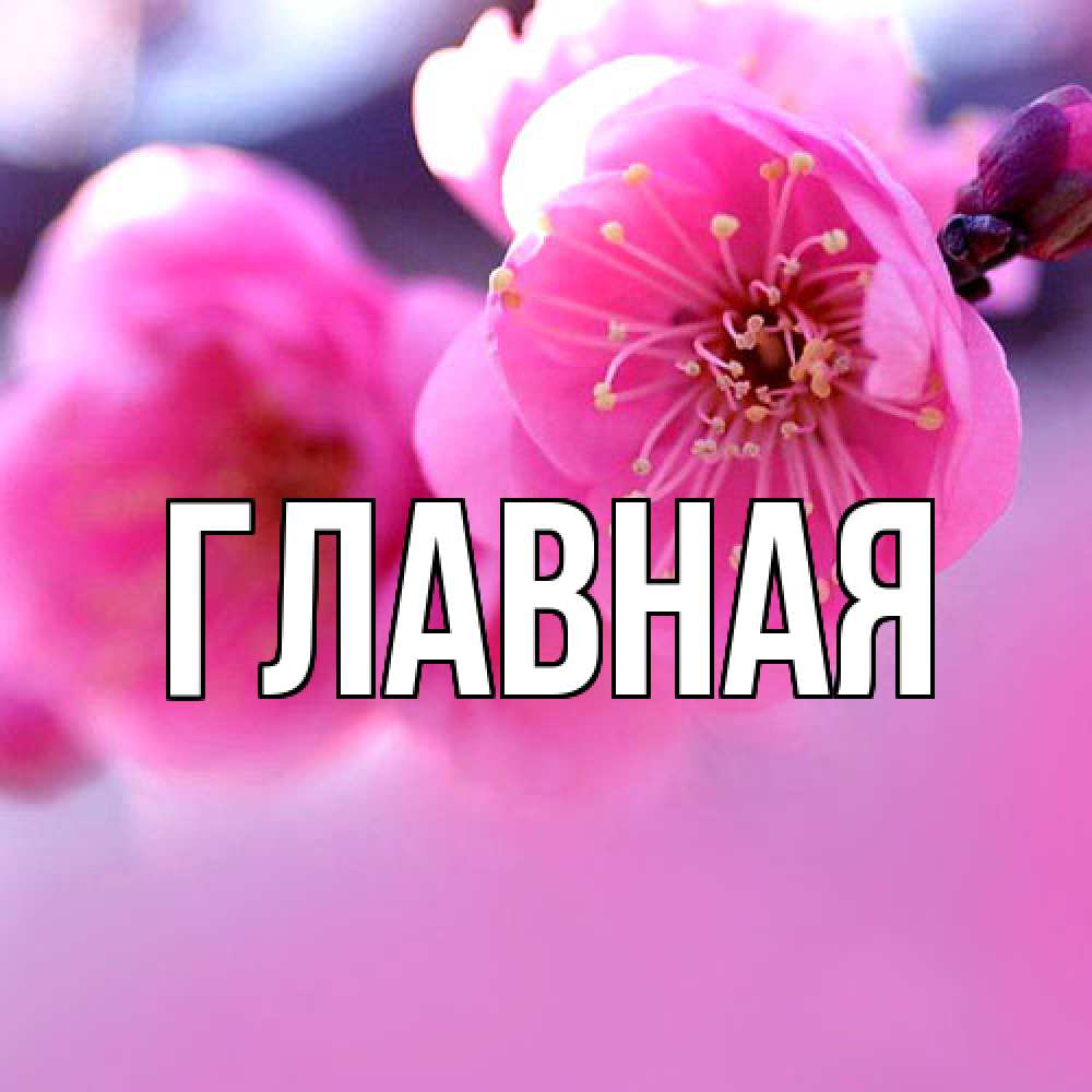 Открытка на каждый день с именем, Анна Главная международный женский день Прикольная открытка с пожеланием онлайн скачать бесплатно 