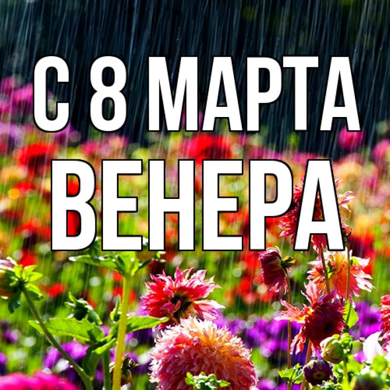 Картинка C 8 МАРТА, Венера
