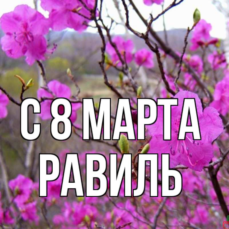 Картинка C 8 МАРТА, Равиль