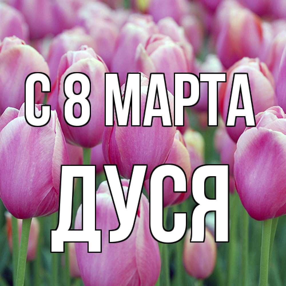 Открытка на каждый день с именем, Дуся C 8 МАРТА на международный женский день 3 Прикольная открытка с пожеланием онлайн скачать бесплатно 
