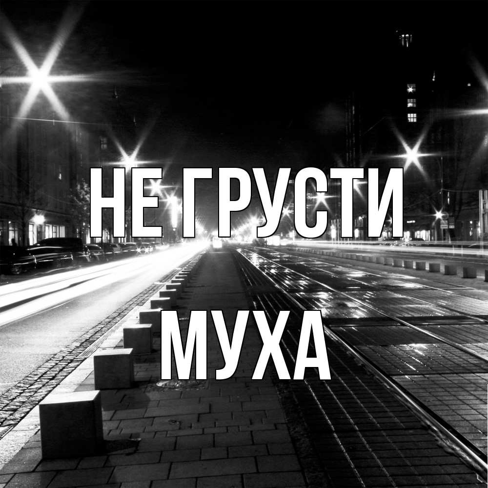 Открытка на каждый день с именем, Муха Не грусти ночной проспект Прикольная открытка с пожеланием онлайн скачать бесплатно 