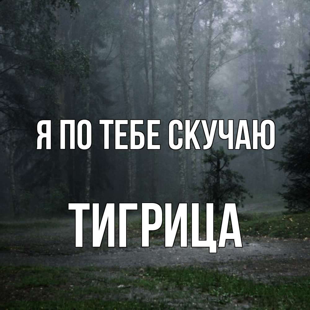 Открытка на каждый день с именем, Тигрица Я по тебе скучаю одна и плохо мне Прикольная открытка с пожеланием онлайн скачать бесплатно 
