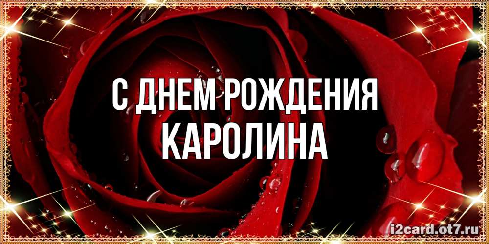 Открытка на каждый день с именем, Каролина С днем рождения цветок в росе на день рождения Прикольная открытка с пожеланием онлайн скачать бесплатно 