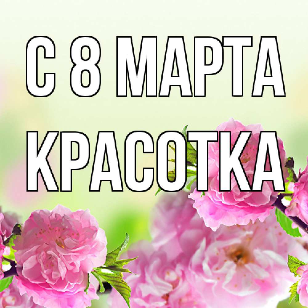 Открытка на каждый день с именем, Красотка C 8 МАРТА цветы Прикольная открытка с пожеланием онлайн скачать бесплатно 