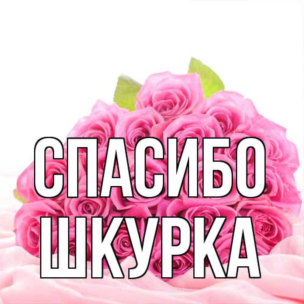 Открытка на каждый день с именем, Шкурка Спасибо розовые розы с подписью Прикольная открытка с пожеланием онлайн скачать бесплатно 