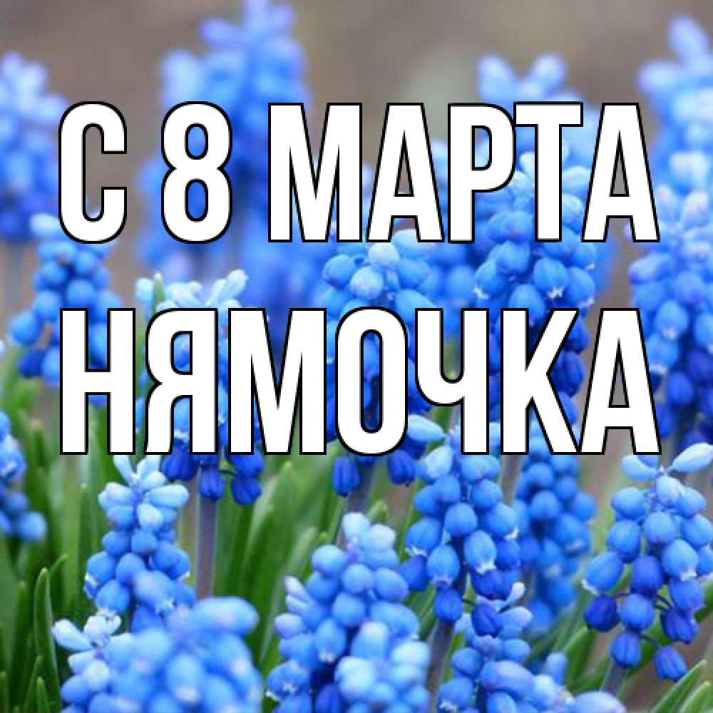 Открытка на каждый день с именем, нямочка C 8 МАРТА Поздравительная открытка для женщин с цветами на праздничную дату Прикольная открытка с пожеланием онлайн скачать бесплатно 