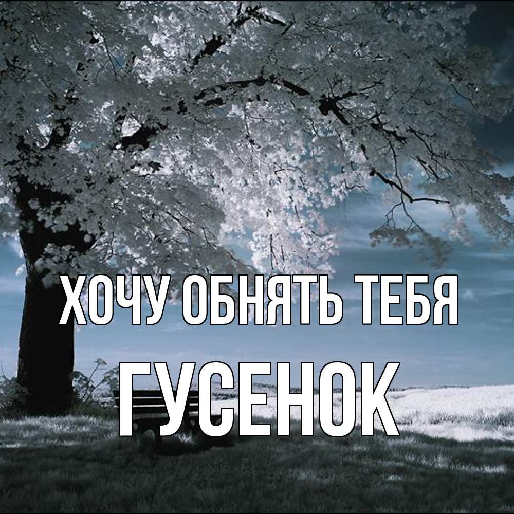 Открытка на каждый день с именем, гусенок Хочу обнять тебя дерево Прикольная открытка с пожеланием онлайн скачать бесплатно 