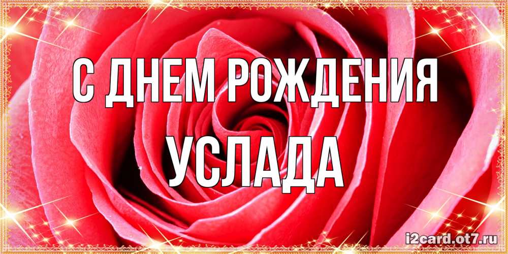 Открытка на каждый день с именем, услада С днем рождения розовая роза очень крупный бутон Прикольная открытка с пожеланием онлайн скачать бесплатно 