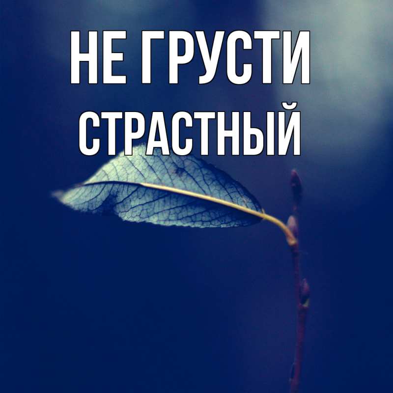 Картинка Не грусти, Страстный