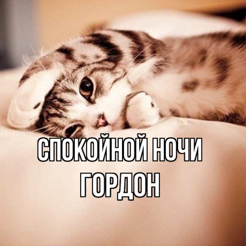 Картинка Спокойной ночи, Гордон