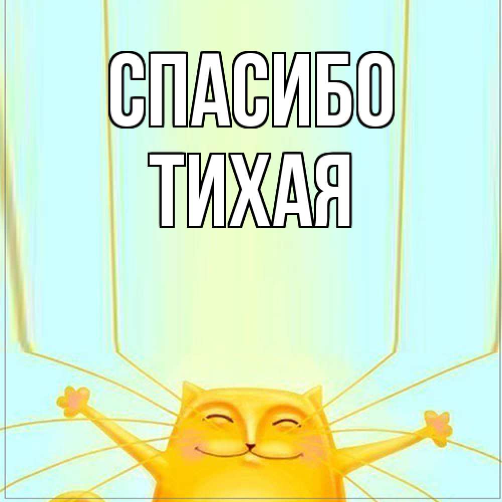 Открытка на каждый день с именем, Тихая Спасибо кот с усами благодарит Прикольная открытка с пожеланием онлайн скачать бесплатно 