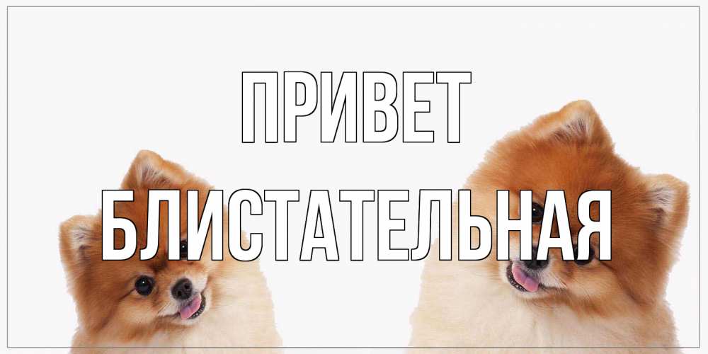 Открытка на каждый день с именем, блистательная Привет привет Прикольная открытка с пожеланием онлайн скачать бесплатно 