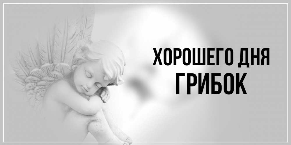 Открытка на каждый день с именем, Грибок Хорошего дня ангел Прикольная открытка с пожеланием онлайн скачать бесплатно 